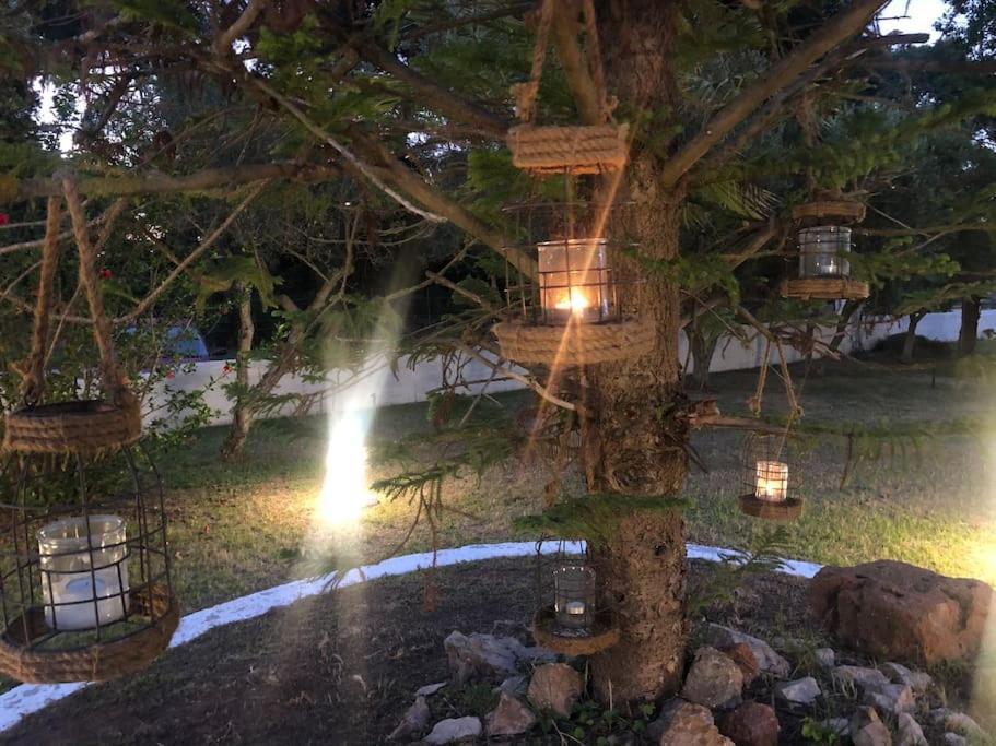 Villa Anastasia! In Strofylia Pine Forest!!! Manolas Ngoại thất bức ảnh