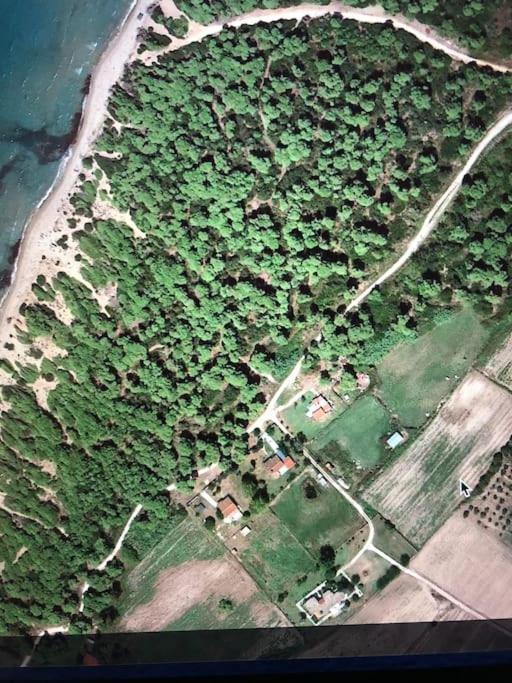 Villa Anastasia! In Strofylia Pine Forest!!! Manolas Ngoại thất bức ảnh