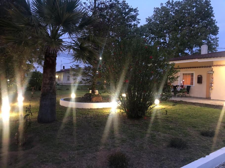 Villa Anastasia! In Strofylia Pine Forest!!! Manolas Ngoại thất bức ảnh